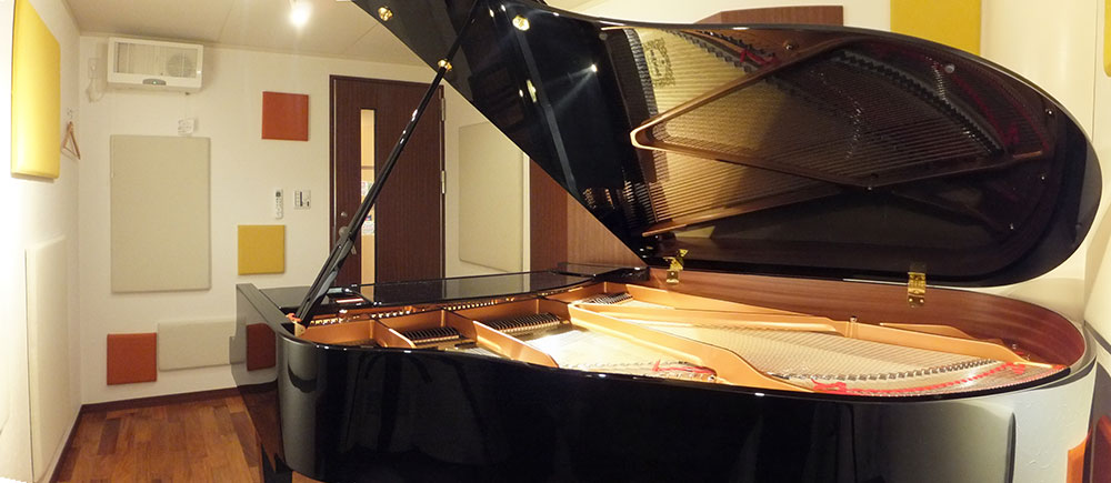 PIANO STUDIO